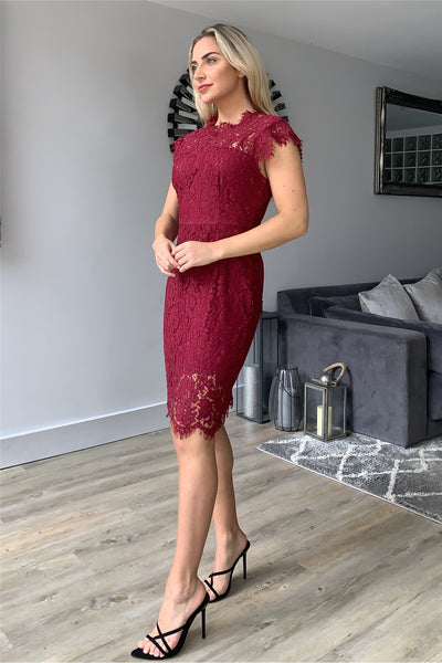 Sleeveless Lace Overlay Dress In Burgundy - Miss Floral