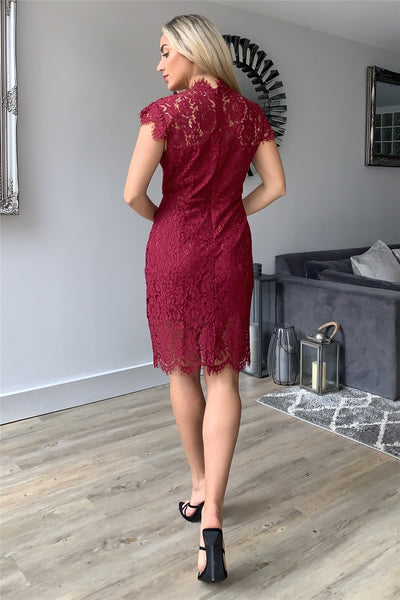 Sleeveless Lace Overlay Dress In Burgundy - Miss Floral